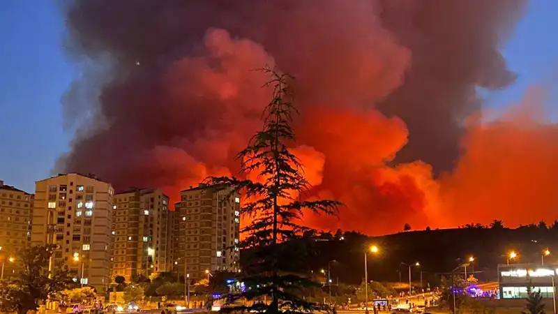 Bursa'daki Yangınlar Şehri Korku ve Panik İçine Sürüklüyor