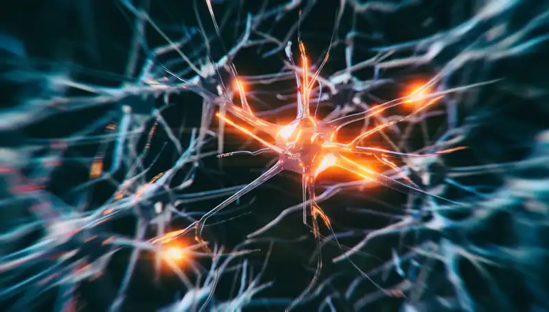 Alzheimer Vakalarının Artış Sebepleri: Gerçekler ve Çözüm Önerileri