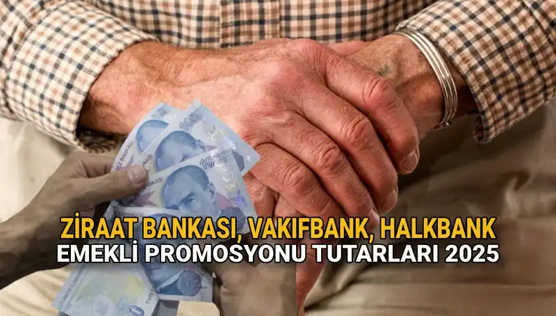 2025'te Emekliler için Kamu Bankalarının Promosyon Fırsatları