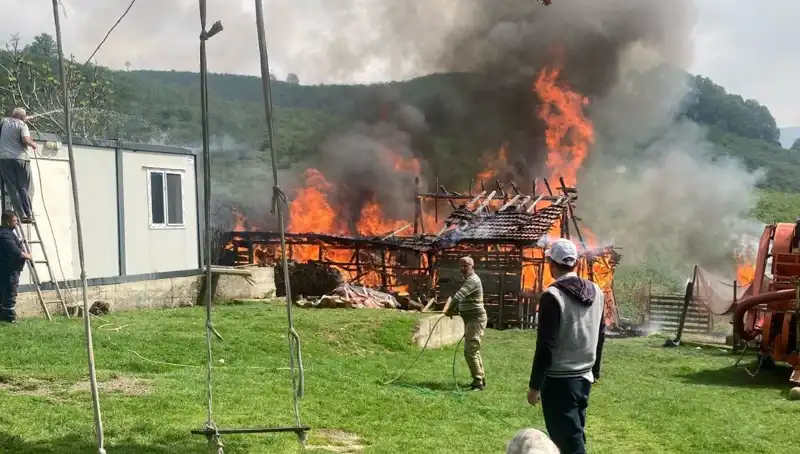 Akçakoca'da Korkutan Yangın: Samanlık Alev Alev Yandı, Zarar Büyük