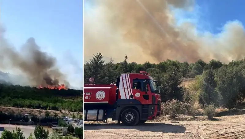 Gebze'de Korkutan Orman Yangını: Yangının Sebepleri Neler?