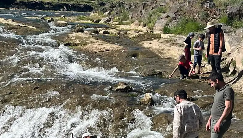 İnci Kefalinin Büyüleyici Göçü: Turistlerin Akın Akın Geldiği Doğa Harikası
