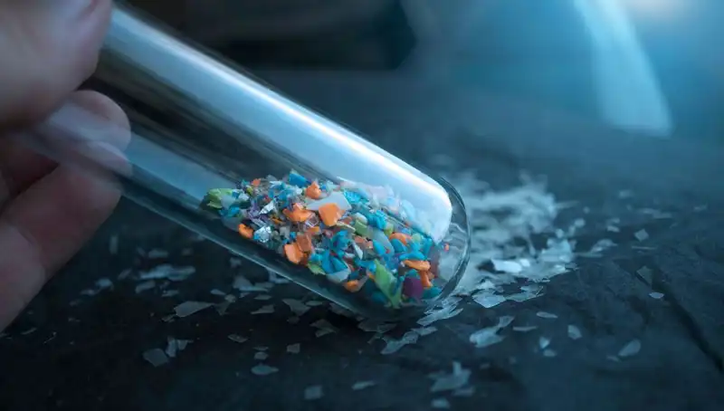 Mikroplastikler İnsan Beynine Nasıl Sızıyor? Etkileri Üzerine Bilimsel Bulgu