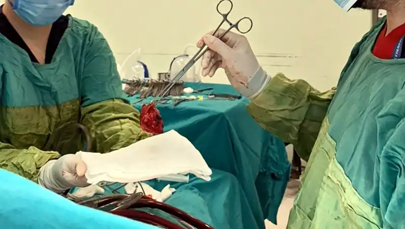 Kalp Kapağı Çürümüş: 7 Saatlik Ameliyatla Hayata Döndü