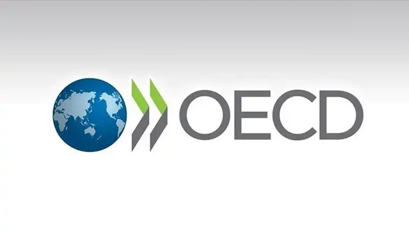 OECD, Türkiye'nin Ekonomik Büyüme Tahminini Alt Üst Eden Gelişmeleri Duyurdu
