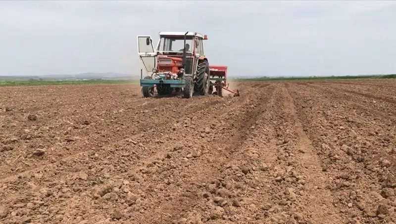 Son 35 Yılda Görülen En Kurak Mart Ayı: Ülkede Yağış Azaldı