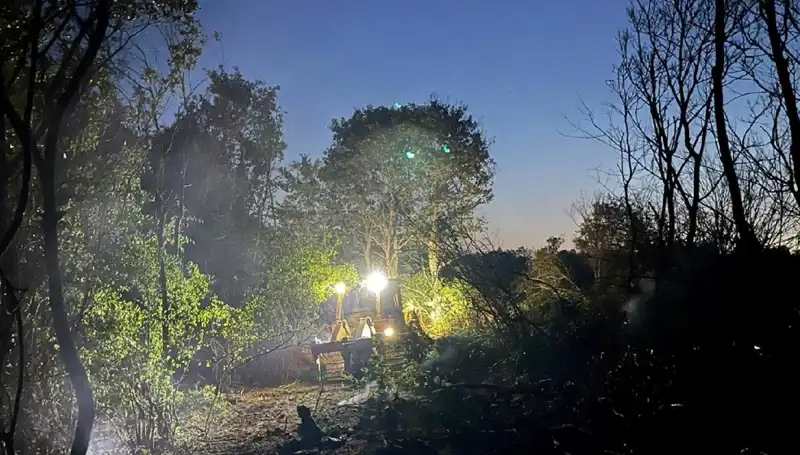 Edirne'deki Orman Yangını: Yangın Kontrol Altına Alındı, Ekipler Çalışmalara Devam Ediyor