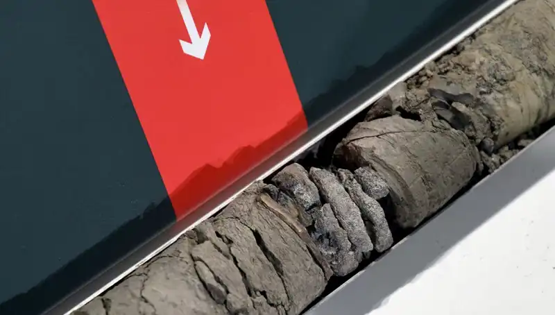Müze Otoparkında Şok Buluntu: Dinozor Fosilleri Ortaya Çıktı!
