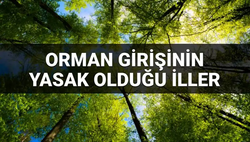 2025'te Ormana Girişi Yasaklanan İller: Sıra Dışı Kararlar Alındı