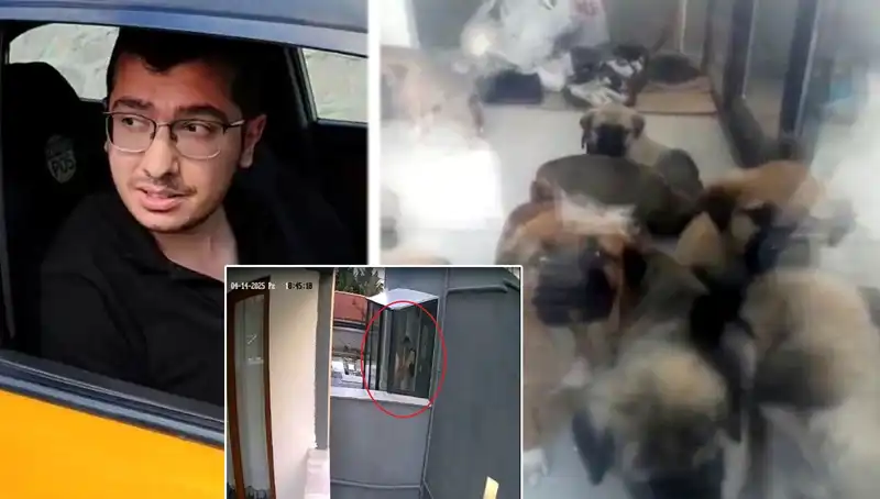 Türkiye'yi Sarsan Skandal: Veteriner Doktorunun Köpek Katliamı