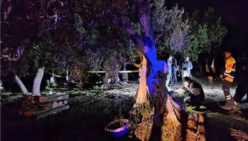 Çiftlikte Baltalı Vahşet: Olayın Ardındaki Gerçekler ve Gözaltı