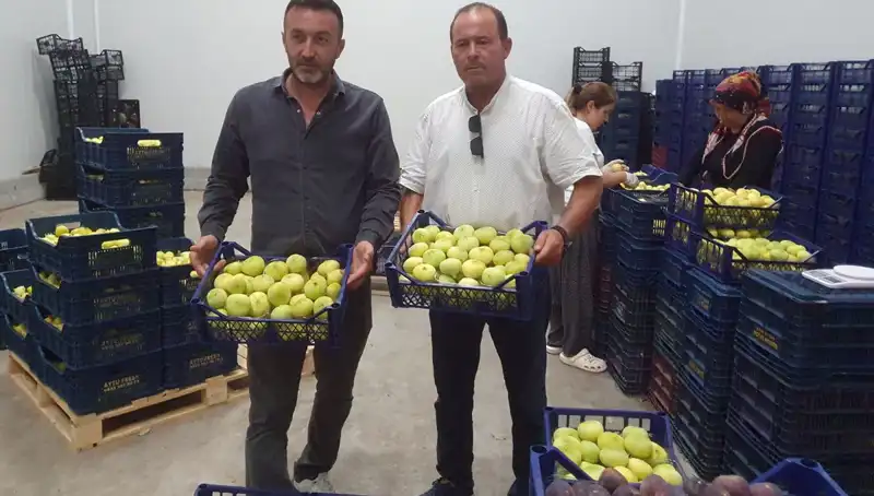 Mersinli Çiftçiler İçin Yeni Umut: Patates İhracatı Başladı