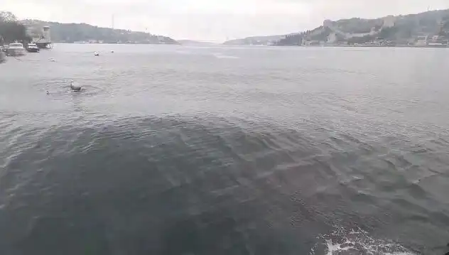 İstanbul Boğazı’nda Yükselen Dalgalar Tehlike Mi, Fırsat Mı Yaratıyor?
