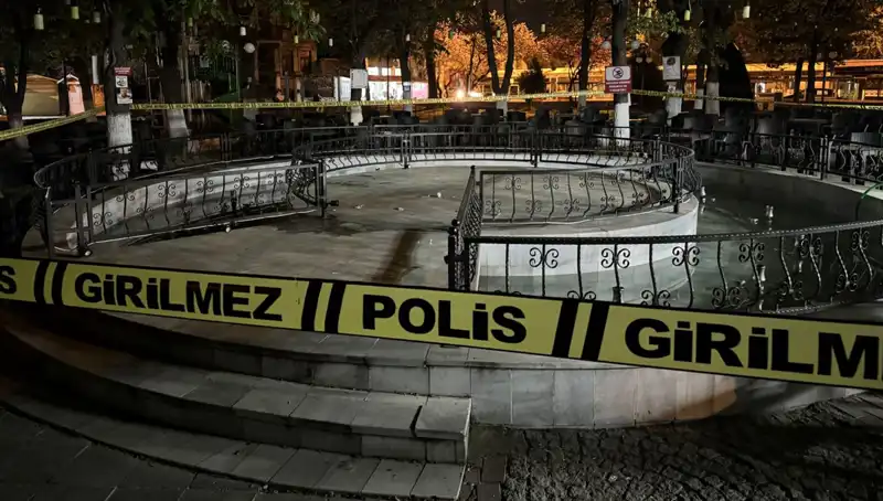 Kırklareli'nde Süs Havuzunda Yaşanan Kaza: Dört Kişi Hastaneye Kaldırıldı