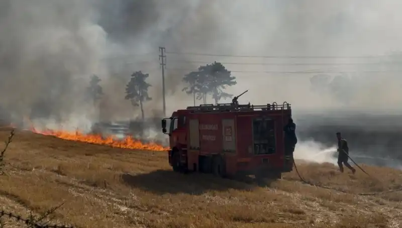 Kırklareli'nde Neden Anız Yangınları Artıyor? Tedirgin Edici Gelişmeler